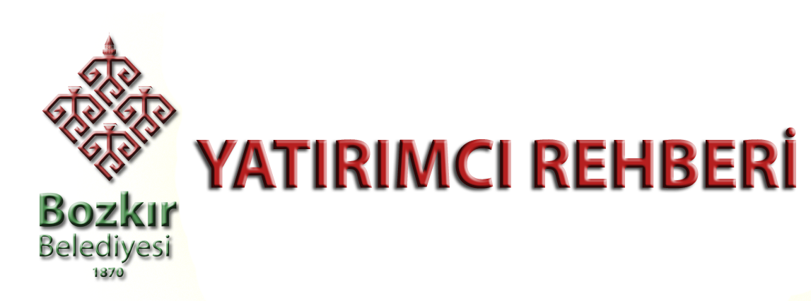 yatirimcirehberi copy